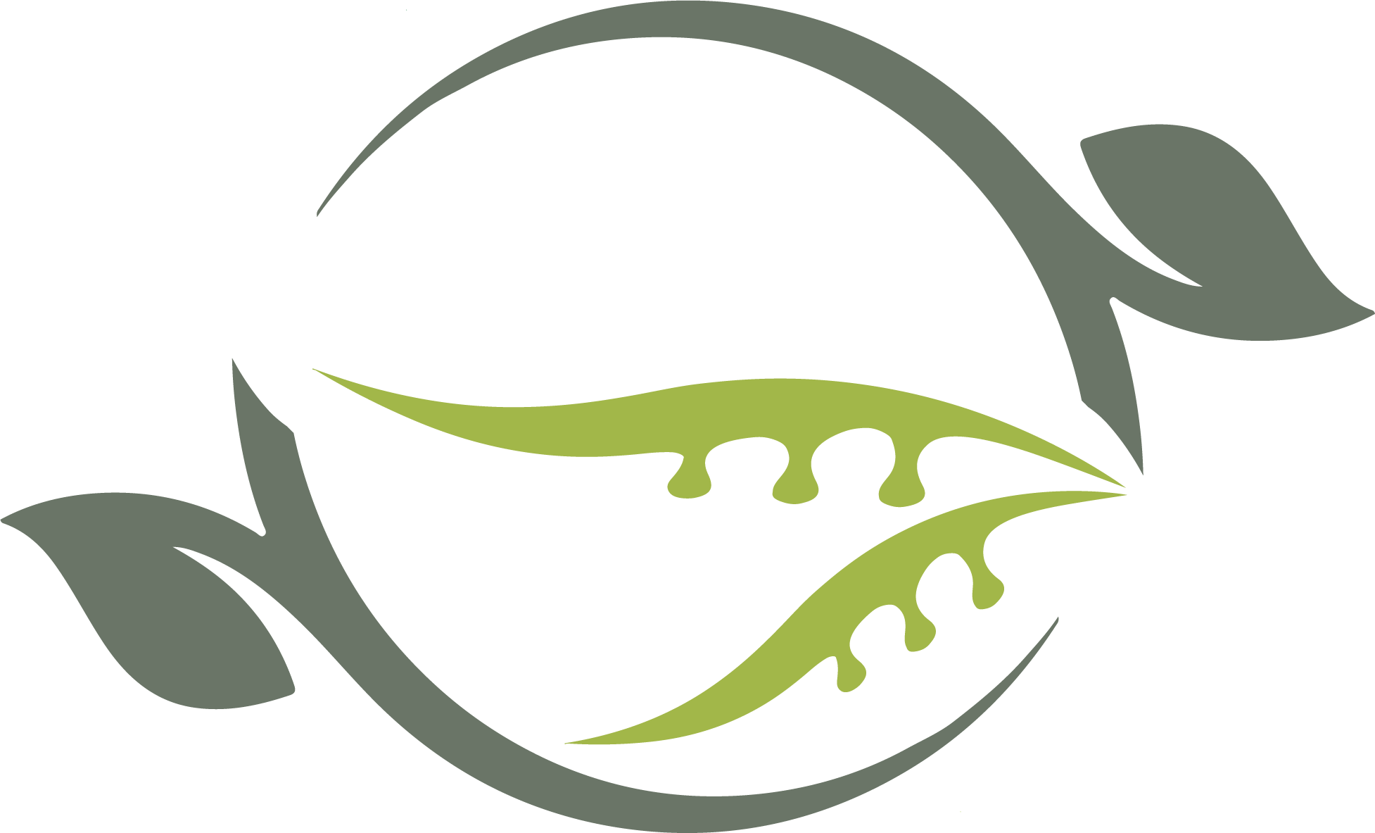 Doctoral School of Natural Sciences Logo